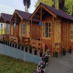 Mayura Sudarshan, Ooty Gallery 1